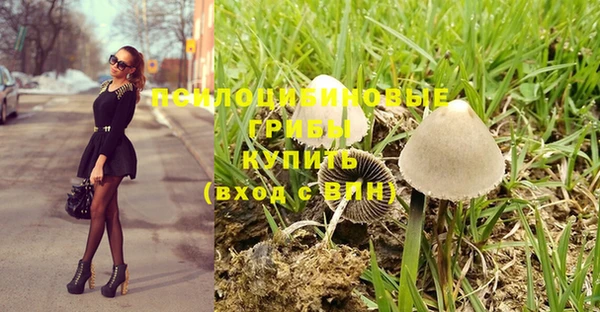 2c-b Михайловск