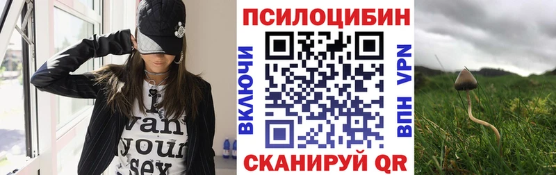 Галлюциногенные грибы GOLDEN TEACHER  купить  сайты  darknet как зайти  Киреевск 